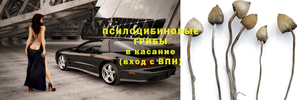 a pvp Алексин