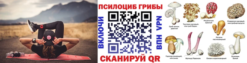 ссылка на мегу сайт Инсар Псилоцибиновые грибы мицелий